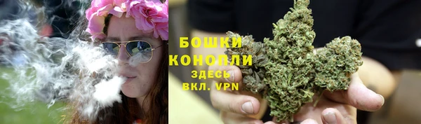 индика Семилуки