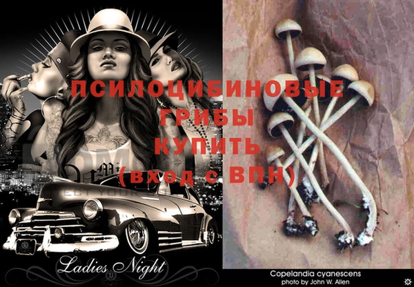кокаин Семёнов