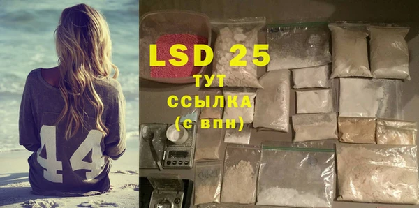 индика Семилуки