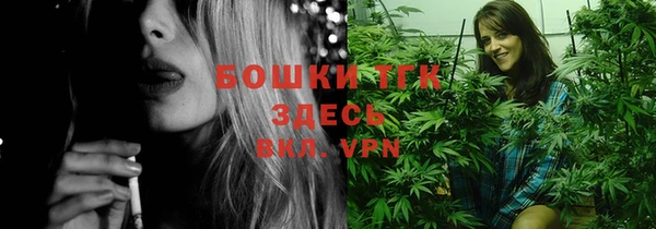 тгк Снежинск