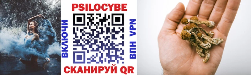 Псилоцибиновые грибы GOLDEN TEACHER  Красноармейск 